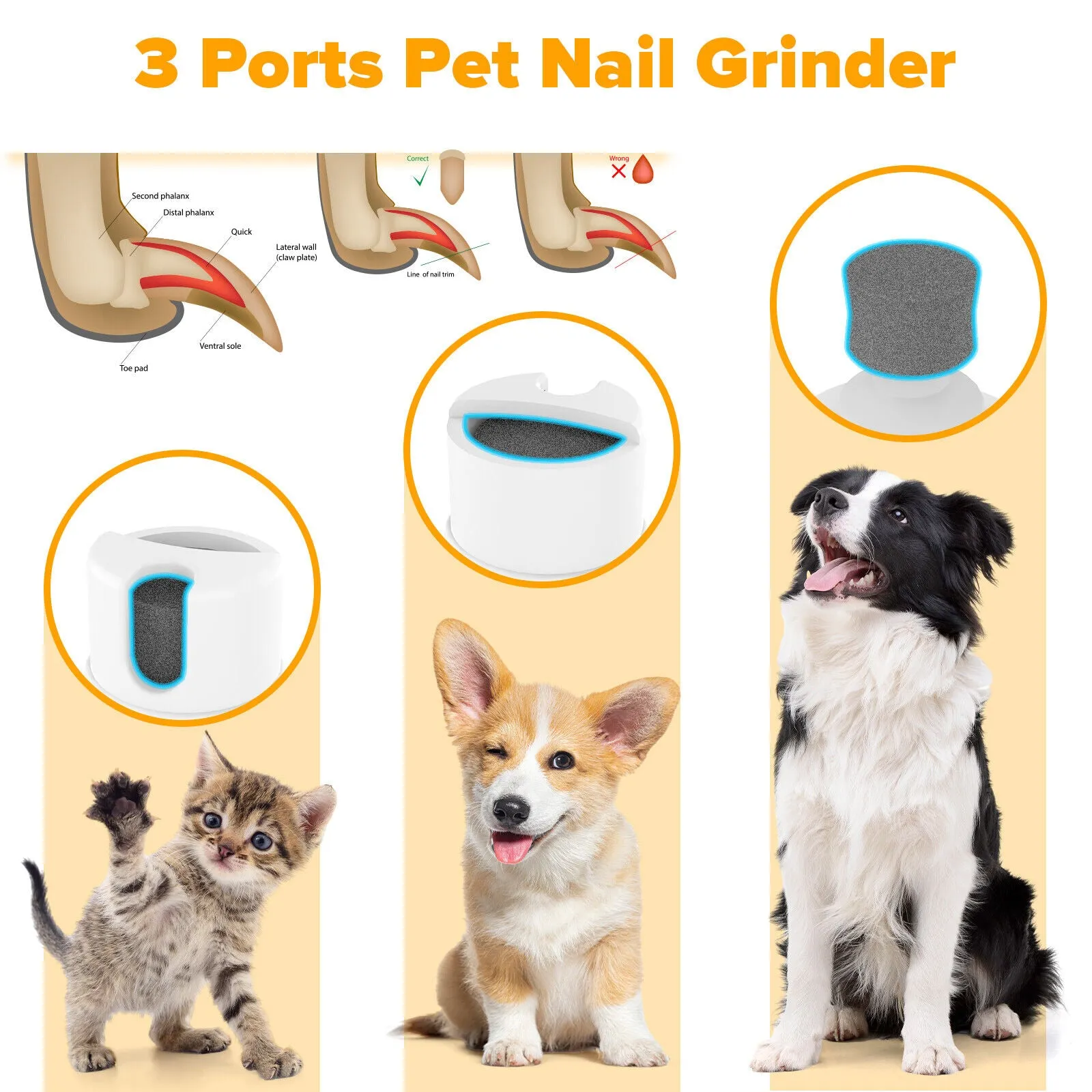 4 in 1 Pet Hair Grooming Clipper Kit