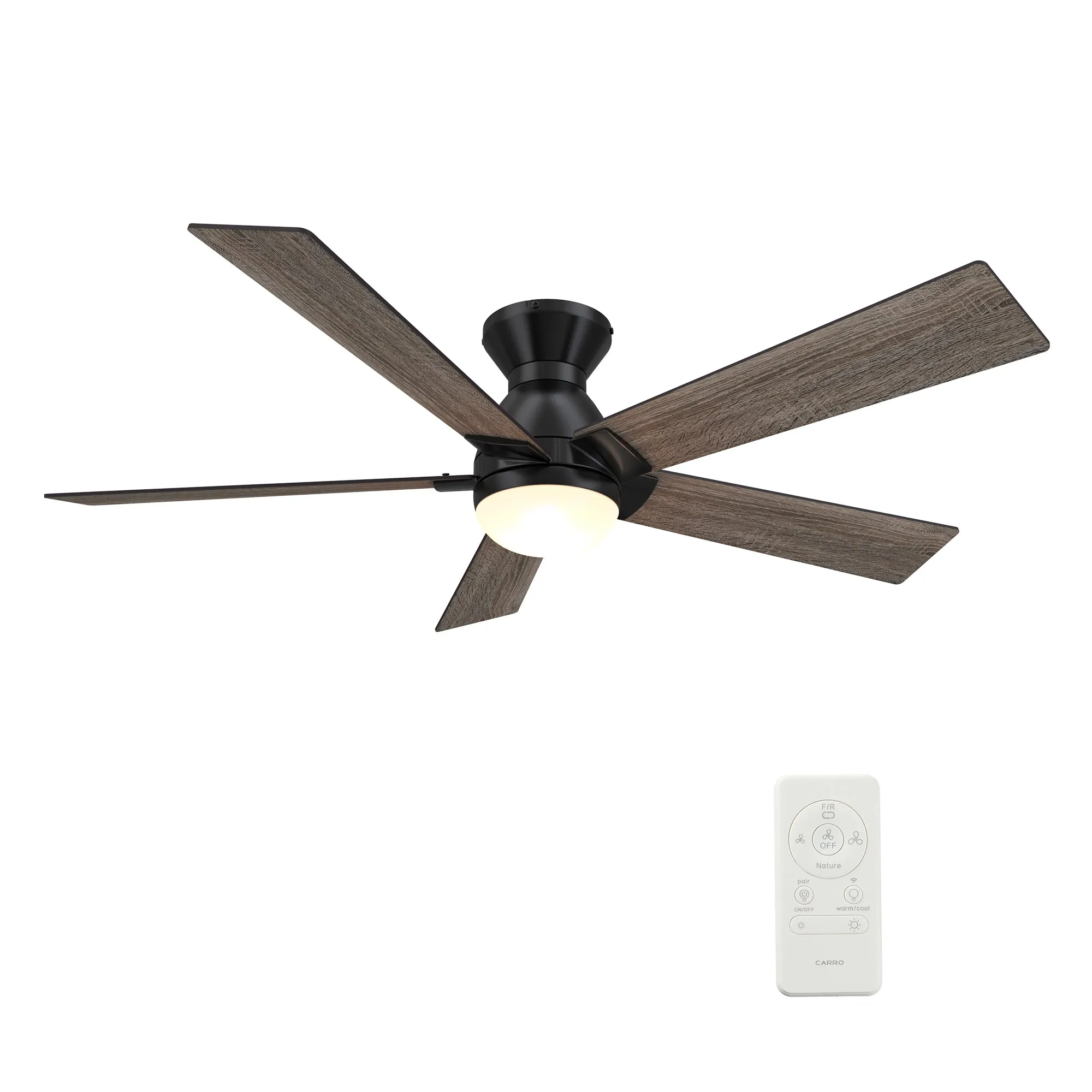 ASCENDER 52 inch 5-Blade Flush Mount Smart Ceiling Fan with LED Light & Remote Control - Black/Walnut & Barnwood (Reversible Blades)