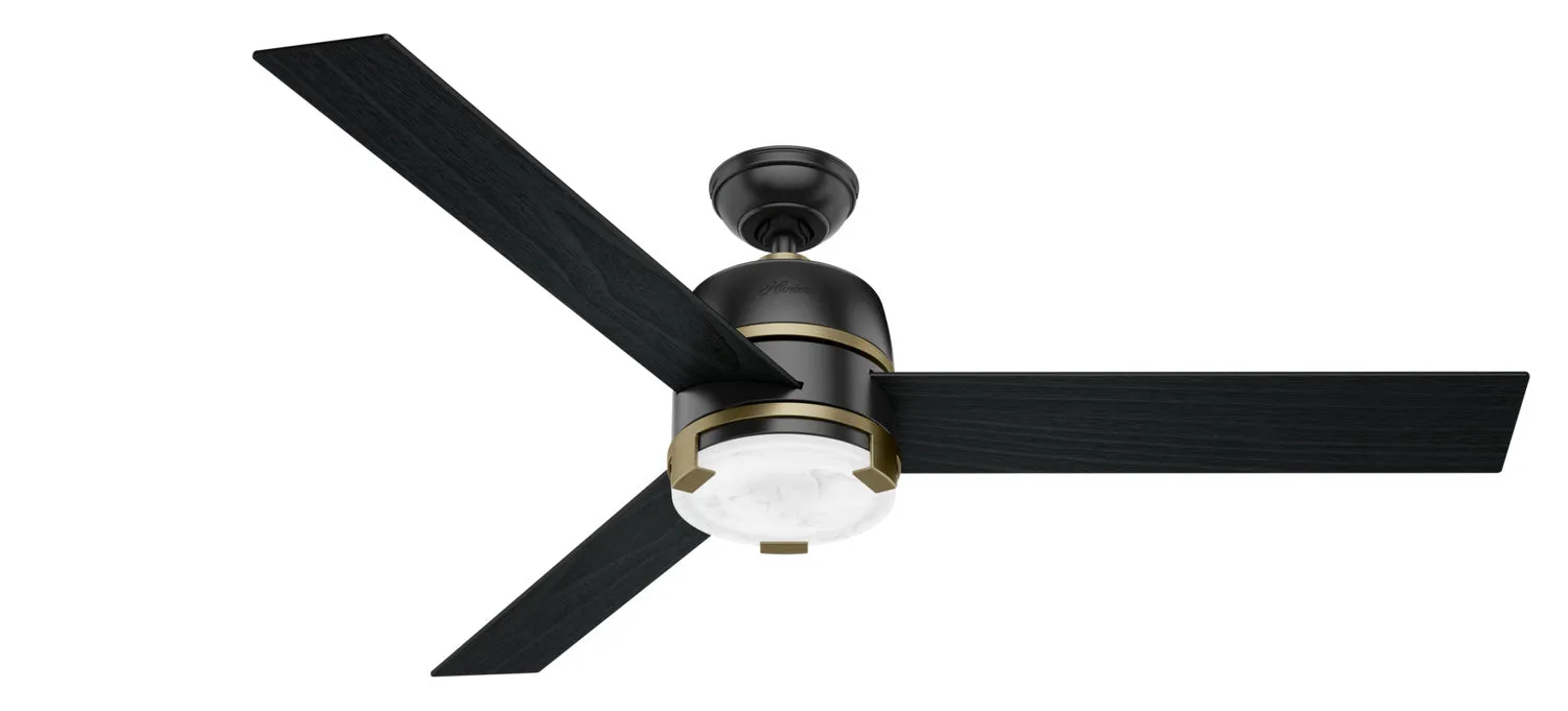 Beau 60" Fan