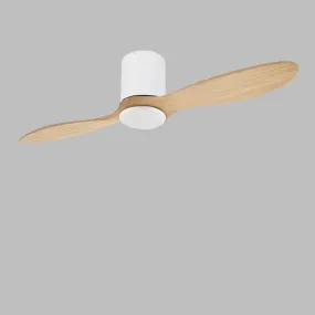 Begaye | Low Profile Ceiling Fan