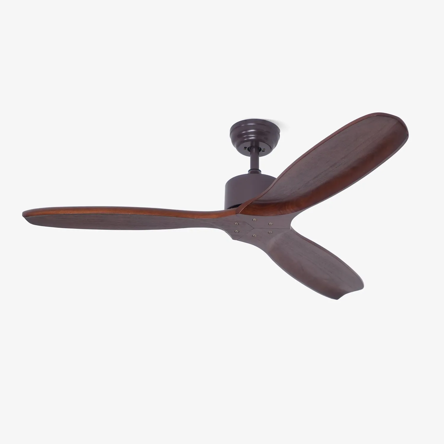 Caesar Kissel Ceiling Fan