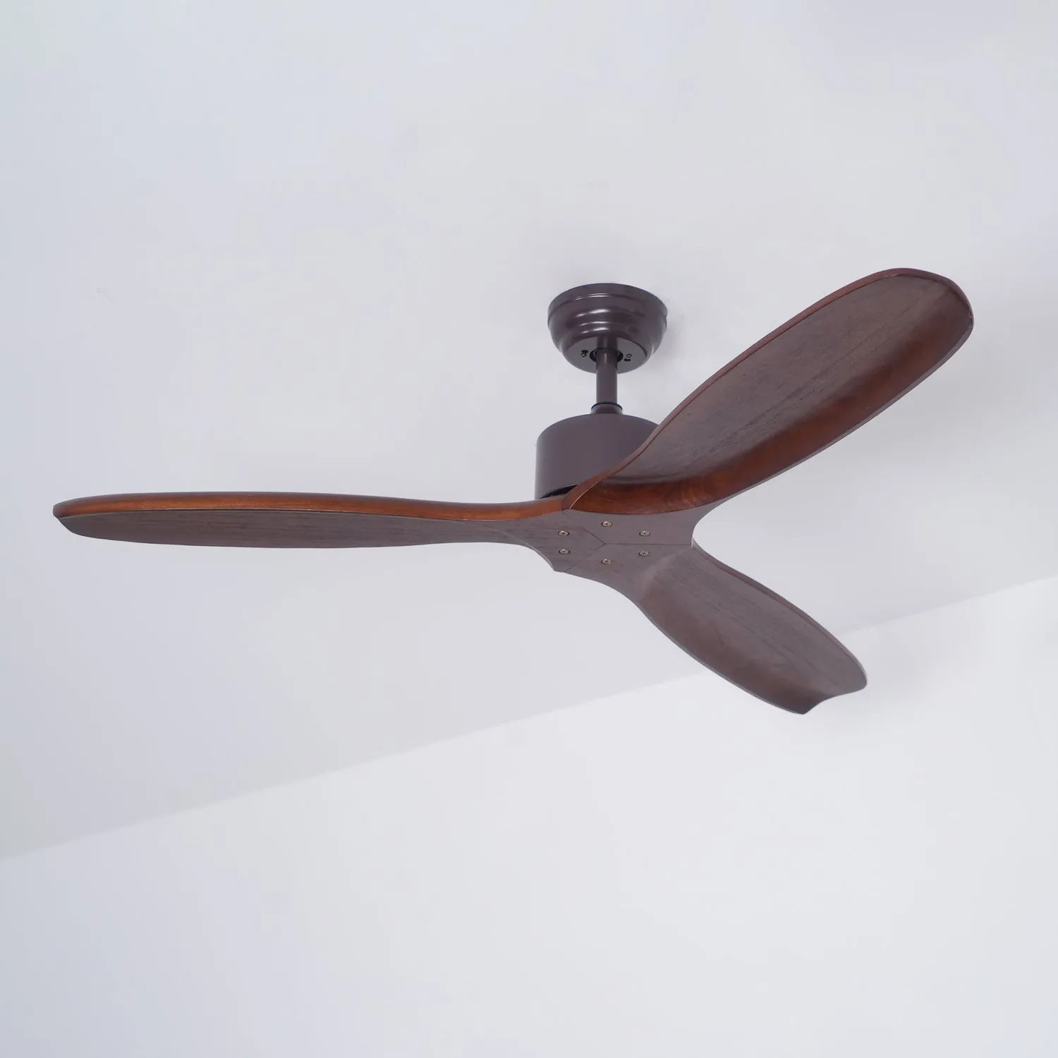 Caesar Kissel Ceiling Fan