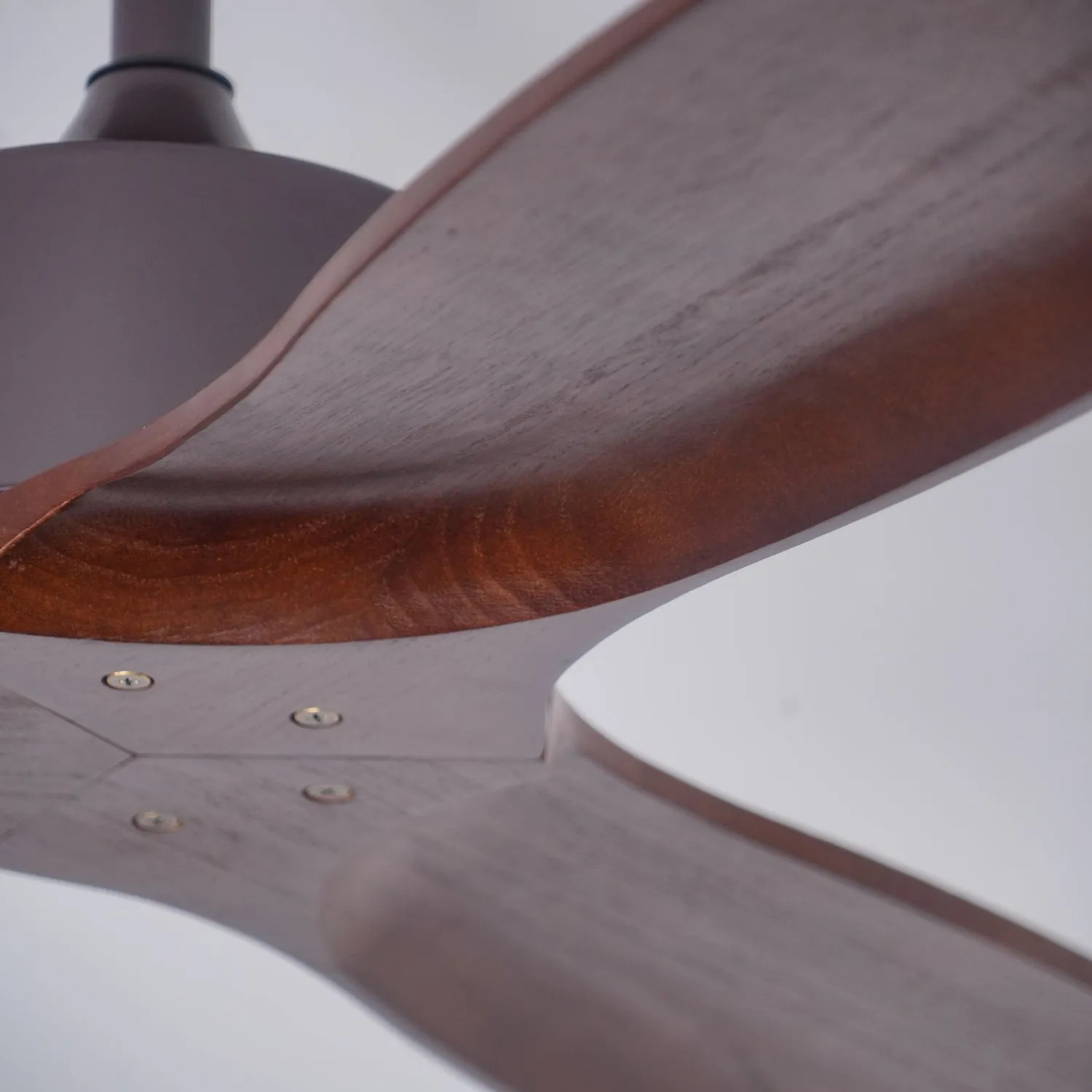 Caesar Kissel Ceiling Fan