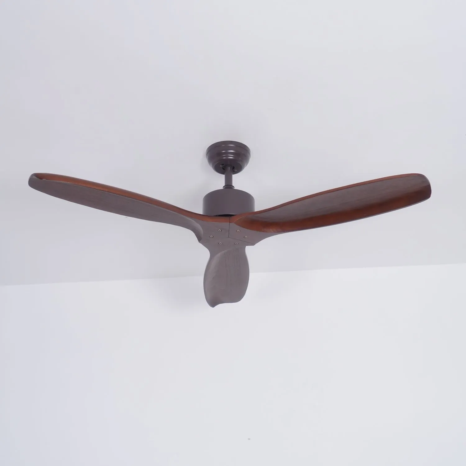 Caesar Kissel Ceiling Fan