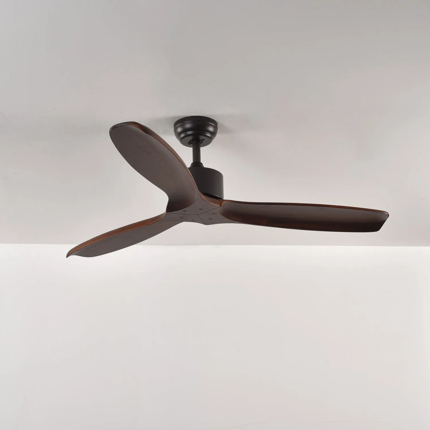 Caesar Kissel Ceiling Fan