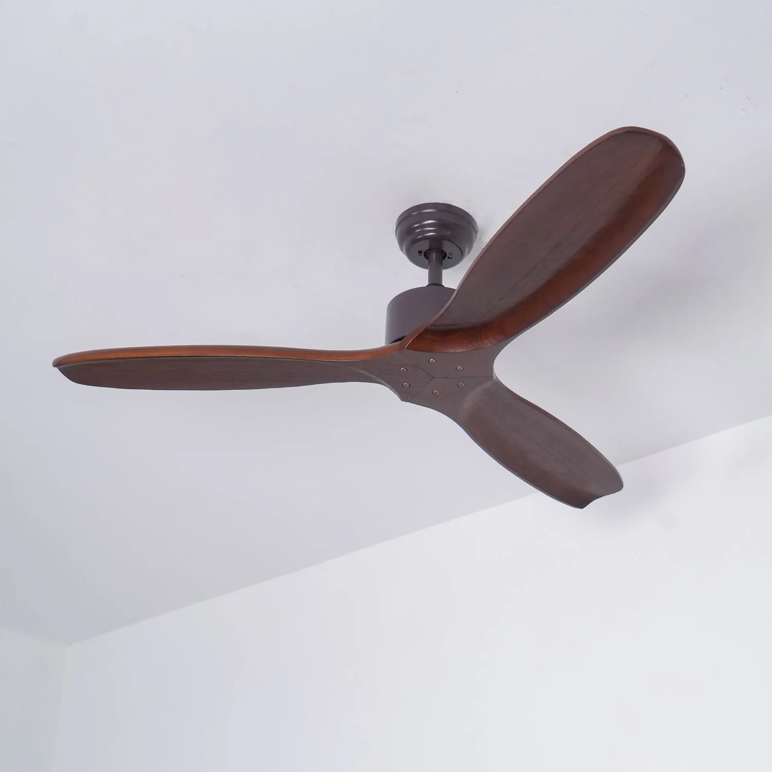 Caesar Kissel Ceiling Fan