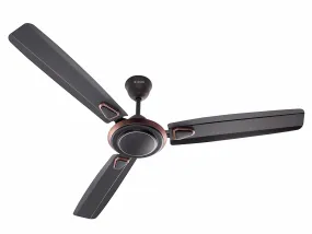 Candes Breeza Ceiling Fans for Home 1200mm / 48 inch | BEE 3 Star Rated, High Air Delivery, Noiseless & Energy Efficient | 1 1 Years Warranty | Coffee Brown