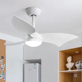 Clem | Lighted Ceiling Fan