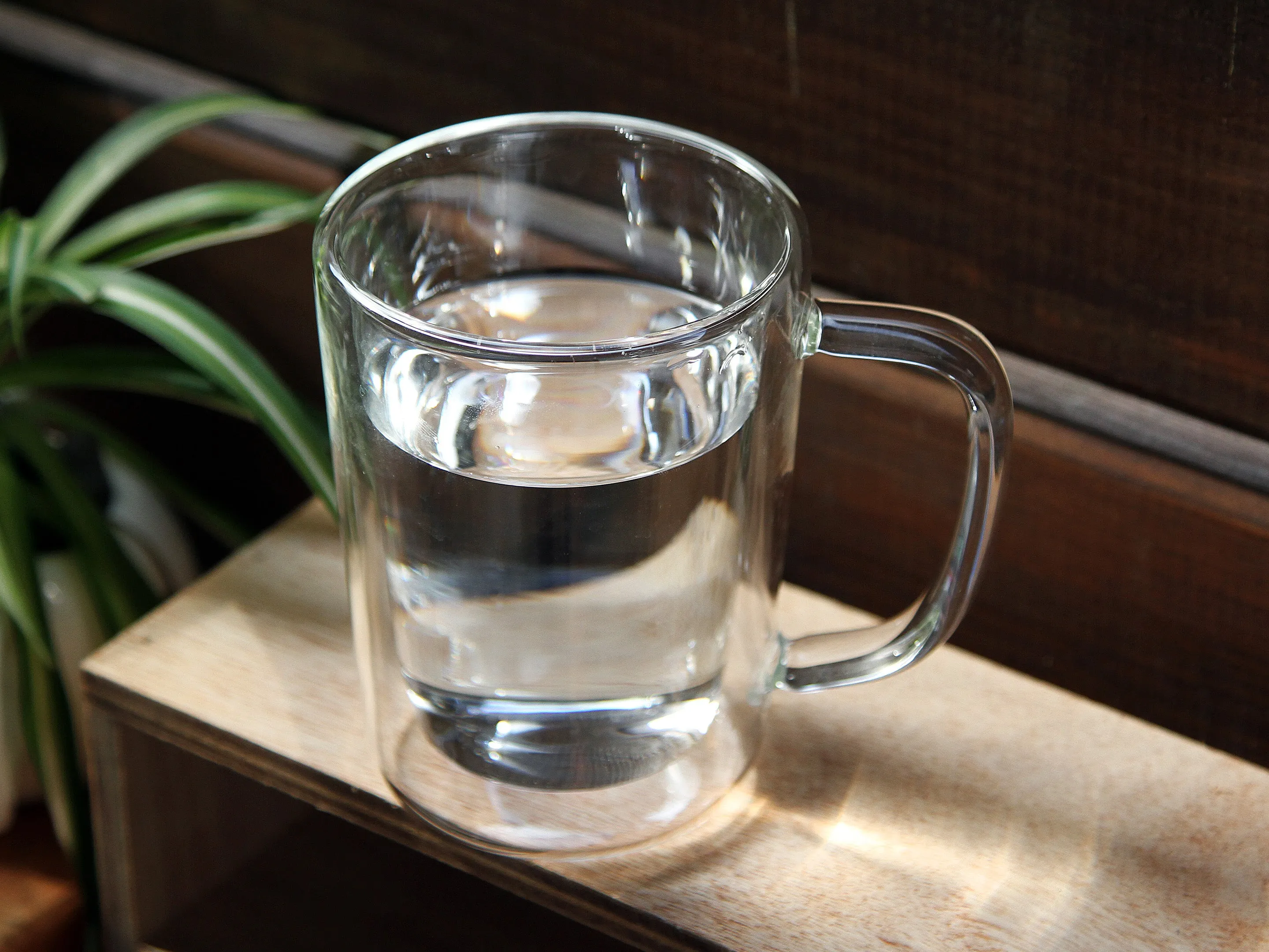 Double Wall Glass Cup (350ml)