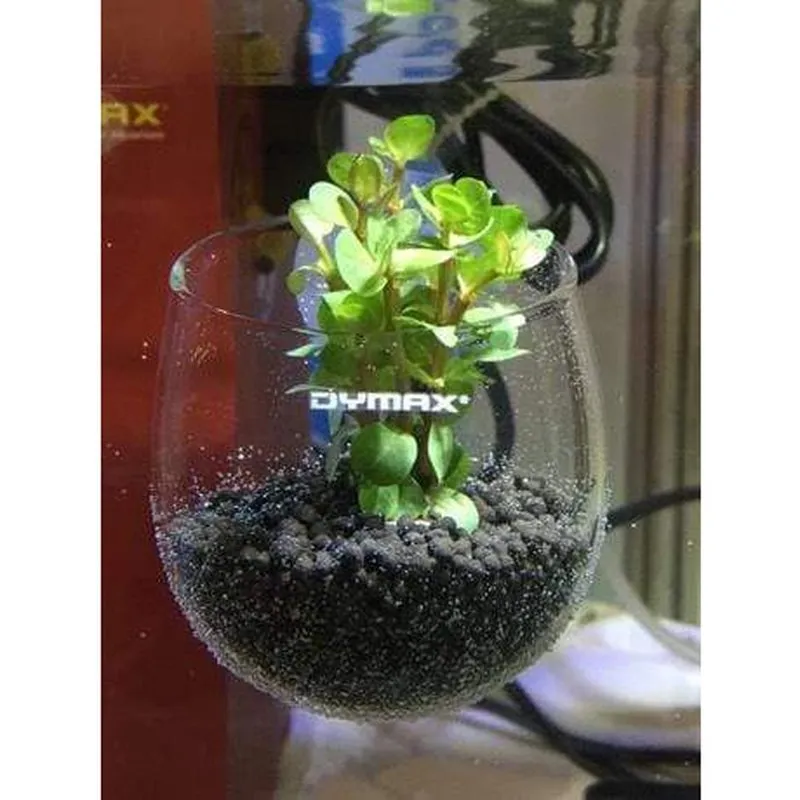 Dymax Crystal Cultivating Pot