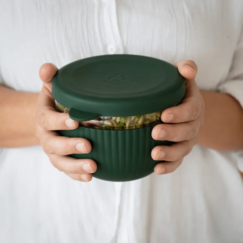 Glass Lunch Bowl