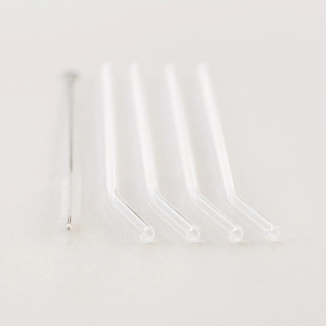 Glass Straws, 4 Pack