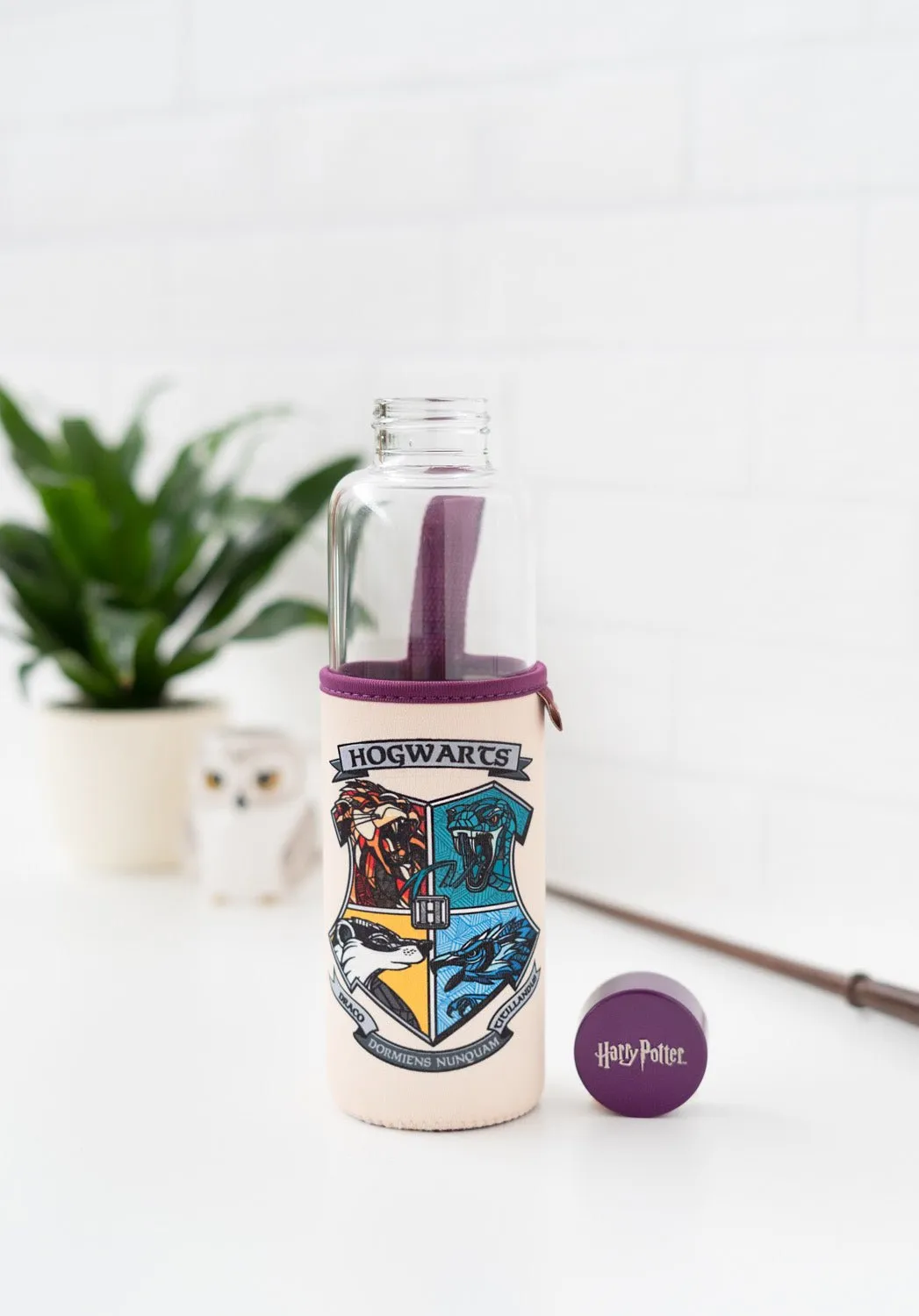 Harry Potter Glass Bottle