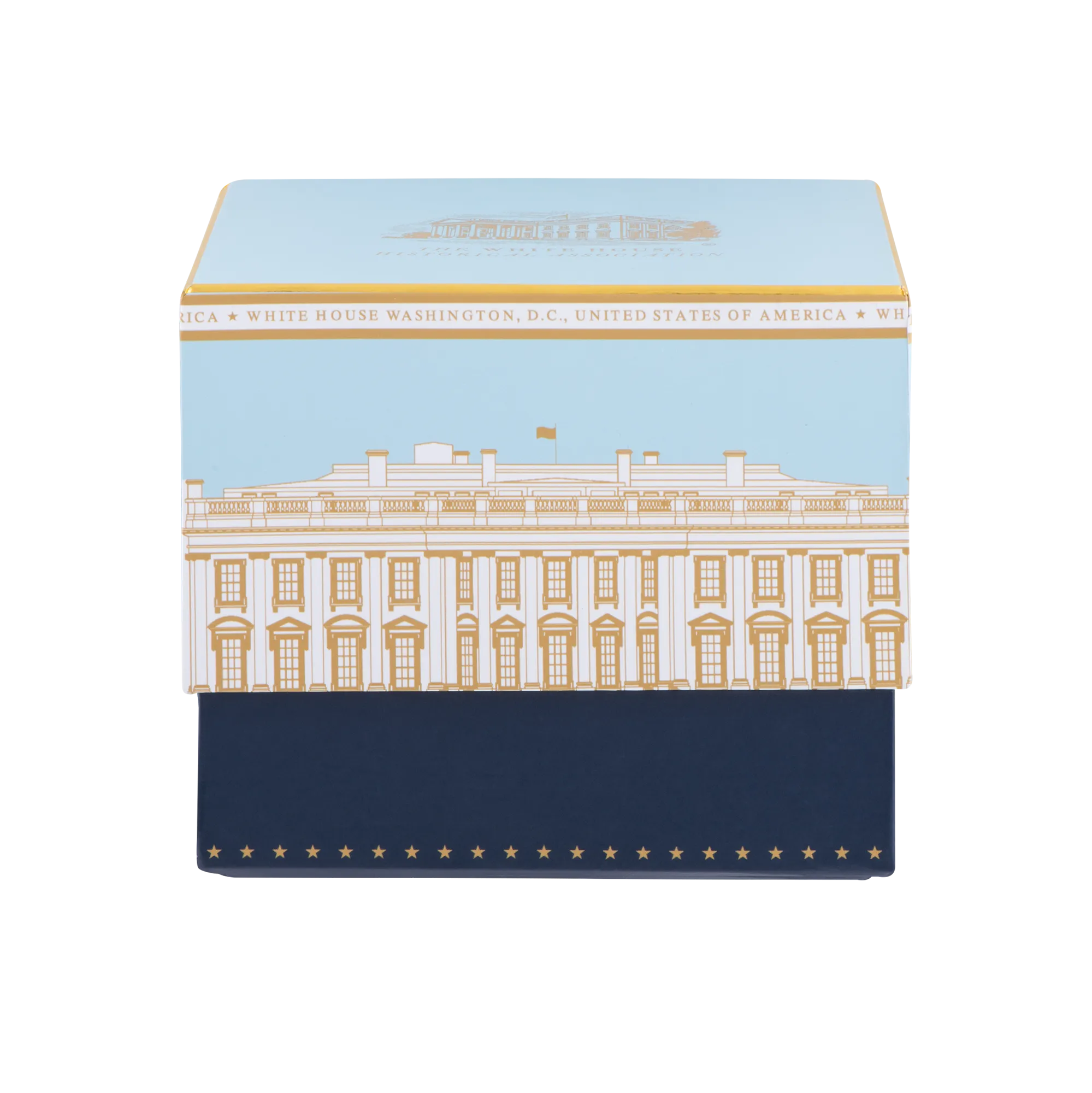 Light Blue White House Mug