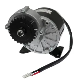 Universal Parts 24V, 350W Motor for Razor Dirt Quad (119-272)